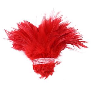 1 bouquet de plumes de faisan naturelles, garnitures de selle, plume de queue de coq pour la fabrication de bijoux artisanaux, matériel d'attache à la mouche 4-6 pouces