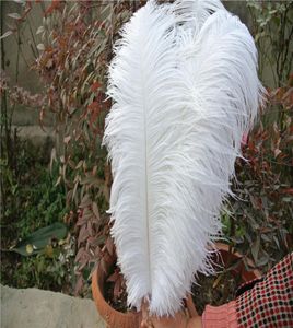 100 pcslot 1618inch3540cm white Ostrich Feather plumes for wedding centerpiece wedding party event decor festiv3125789
