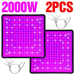 1000W Full Spectrum Indoor LED Grow Lamp 2pcs For Plant Growing Light Tent Fitolampy Phyto UV IR Red Blue 225 Led Flower Plants213n