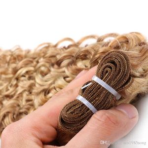 100g pièce 4pcs lot 27 613 couleur mixte 14-24 pouces tissage de cheveux ondulés vierges