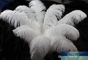 100pc 10-12 pouces 25-30cm panaches de plumes d'autruche blanches pour pièce maîtresse de mariage décor d'événement de fête de mariage décoration de fête
