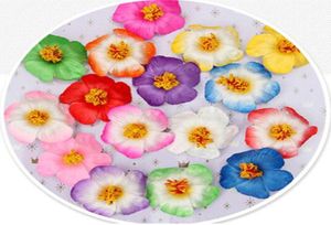 100pcs 9cm Frangipane Frangipani Fleur Sinensis Tête de fleur artificielle Hibiscus 16 Colors6411430