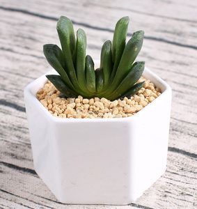 144pcs MOQ céramique pots succulents en gros Hexagone Carré mini blanc porcelaine pots à fleurs fournisseurs pour le décor de la maison de mariage plateau en bambou