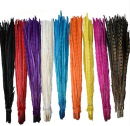 Plumes de faisan naturelles de haute qualité, 50 pièces, 18-20 pouces/45-50cm, décoration de la maison, centre de mariage