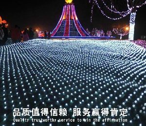 10M * 8M 2000 LED net lumière net lumière Cour parc paysage lumières Étanche rideau lumières LED lumières série