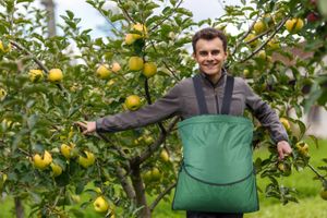 10 bolsas de recolección de frutas, delantal de jardín de cosecha ajustable, bolsa de almacenamiento para cosechar verduras, frutas grandes, manzana, mango, pera, melocotón, mango, kiwi, limón, cereza