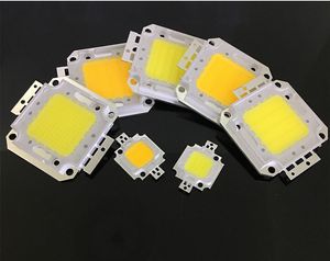 10 unids/lote SMD 10W 20W 30W 50W 100W cuentas de alta potencia Chip integrado LED lámpara cuentas bombilla COB para reflector DIY fuente de luz