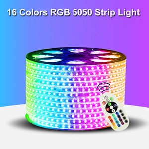 Bande LED 110V 220V, 5050 50m 100m, étanche IP65, RGB, double couleur, éclairage sur corde pour l'extérieur, avec télécommande RF, en Stock