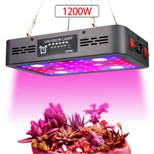 1200W 2400W COB LED élèvent la lumière phytolampe à spectre complet pour les plantes élèvent la lampe pour le système hydroponique de semis de floraison de plante d'intérieur