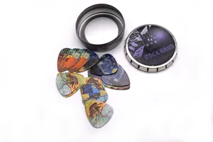12pcs 0.71mm Packed Guitar Picks Two Side World Famous Peinture Musical Plectrums Great Tin Box
