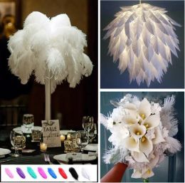 Belles plumes d'autruche bon marché 15-20CM, pour bricolage, fabrication artisanale de bijoux, accessoires de décoration de fête de mariage, décoration de mariage 2024401