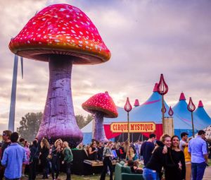 Champignon gonflable personnalisé de 16,4 pieds de haut, vente en gros, avec lumières LED pour événements, mariages, décorations de fête/ballons de champignons colorés