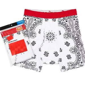 2 pièces / pack Mode Unisexe Sous-vêtements Slips Hommes maillots de bain Coton HANES BOXER BRIEF Respirant Lettre Slip Shorts 7 couleurs L2 neik