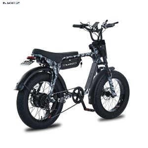 20 Inch 2024 Electric Bike For Women 750W Electric Bicycle Fatbike With 18AH Lithium Battery Road Beach Motorcycle For Man