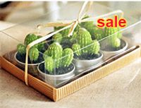 wholesale rare new mini cactus candles plant decor home table garden 6pcs lot kawaii home decoration free shipping - Wholesale Decor wholesale rare new mini cactus candles plant decor home table garden 6pcs lot kawaii home decoration free shipping - Wholesale Decor