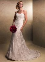 wedding dress strip