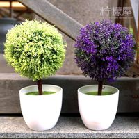 Fragrant Flowers Bumper Desk Office Small Potted Plants Purify The
