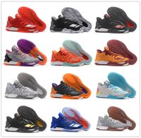 derrick rose low cut shoes