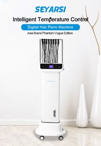 Máquina de permanente digital para uso en salón con salida de 24 V y varillas para permanente de cabello gratis