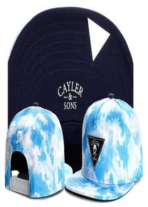 2015 nouvelle arrivée Sons 5 panneau casquette pas cher diamant snapback chapeaux baseba casquettes Floral 5 panneau chapeau accepter en gros 3496291