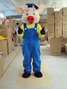 2018 Vente directe d'usine Belle poupée de dessin animé Dr cochon Costume de mascotte Livraison gratuite
