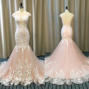 Spring Blush Pink Mermaid Vestidos de novia Sheer Bateau Neck Capped Open Back Trompeta Vestidos de novia con apliques de encaje de lujo