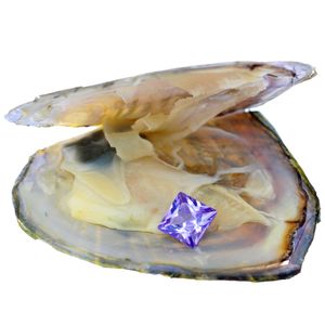 2019 huîtres de zircon d'eau douce naturelles 8mm * 8mm zircon cubique en vrac violet dans des huîtres emballées sous vide