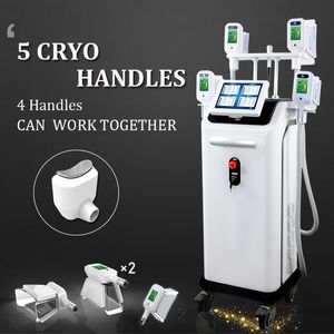 2021 Cryolipolysis Slim Freeze Belt Machine 5 poignées Fat Freezing cryo lipolysis amincissant les machines mini poignée de retrait de double menton