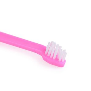 Brosse à dents à Double tête pour animaux de compagnie, brosse de nettoyage pour chiens, brosse de Massage pour chats, produits pour animaux de compagnie, soins buccaux, nouvelle collection 2022