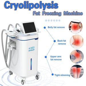 2023 Cryolipolyse Fat Freeze Machine amincissante 4 poignées Cryo Enlèvement du double menton à 360 ° Réduction de la graisse Appareil de sculpture boby cryothérapie