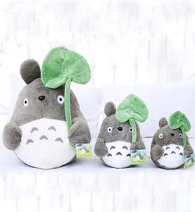 2024 20cm film de dessin animé doux TOTORO en peluche mignon en peluche feuille de Lotus Totoro enfants poupée jouets pour les Fans