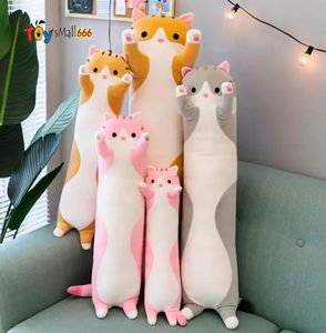 2024 50cm lindo gato panda koala grandes animales de peluche juguetes de peluche para niños niñas suave almohada de sueño largo abrazos regalo de Navidad