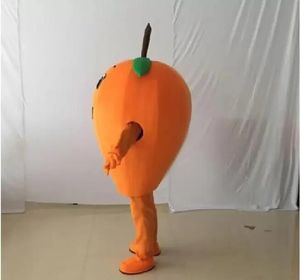 2024 Vente d'usine Mascotte savoureuse Orange Loquat Costume de mascotte personnage de dessin animé Mascotte feuilles vertes marron Stipe vêtements