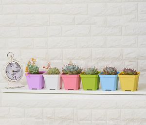 Venta al por mayor de alta calidad de colores gruesos cuadrados mini macetas de interior plantación para suculentas Home Garden decoración hogar cámara mesas decoración