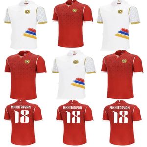 24/25 Arménie Haute qualité vendant des maillots de foot