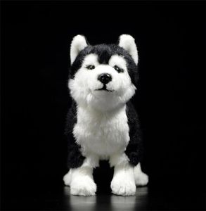 Juguete de peluche de perro Husky siberiano de 25CM con ojos marrones y azules, juguetes de animales de peluche realistas de Alaskan Malamute, regalos de Navidad 2012121375546