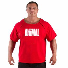 Men's Tank Tops Men's T Shirts Fitness Men Bodybuilding Shirt Batwing Sleeve Rag Gym Muscle Running Shirt2022Men's