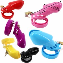 Safada Hermandad de mujeres Masculino pussys calientes