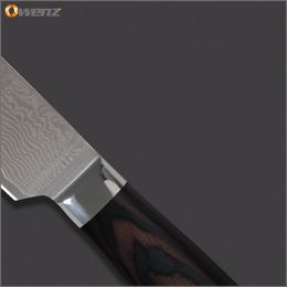Discount Inch Damascus Kitchen Knife | 2016 I