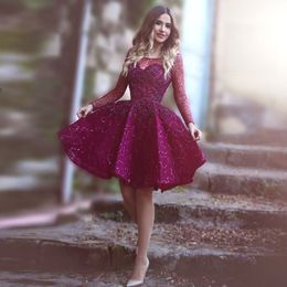 Robe de soiree 2017 mini