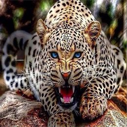 roaring leopard drawing roaring leopard drawing
