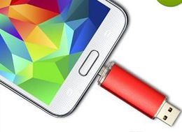 Image result for Flashdisk SAMSUNG OTG