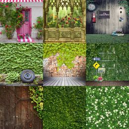 Painted Garden Backdrop Online Painted Garden Backdrop for Sale Painted Garden Backdrop Online Painted Garden Backdrop for Sale