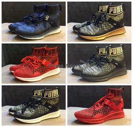 puma ignite evoknit blue