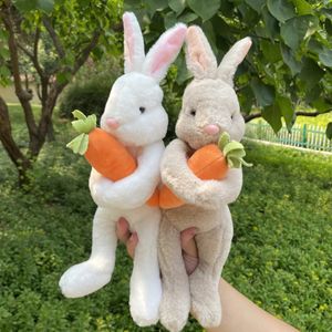 28cm hamster lapin mâchonnez toy morsure grind dents toys maïs carottes tissées pour nettoyage de dents radis molaire en peluche bébé cadeau 231221