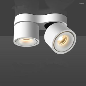 2x15W 2x20W réglable 30W 40W COB LED Downlight spot encastré plafonnier rotatif pour les magasins à domicile remplacer la lampe halogène