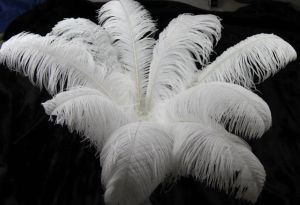 Belles plumes d'autruche 30-35cm, pour bricolage, fabrication artisanale de bijoux, accessoires de décoration de fête de mariage, décoration de mariage