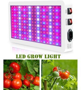 3000w LED Grow Lights 2835 LEDs Full Spectrum Quantum Grow Lights pour plantes hydroponiques d'intérieur Veg Bloom Greenhouse Grow Tent Growing Lamps Seeds Start