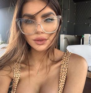 Большие Cat Eye Eyeglasses Плоское Зеркало Ретро Дикие Модели Солнцезащитные очки Рама с прозрачными линзами 5 Цветов Оптом