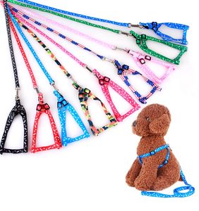 1.0 * 120cm Guinzagli per imbracatura per cani Collare per animali domestici regolabile in nylon stampato Accessori per animali domestici Collana per animali Cravatta in corda